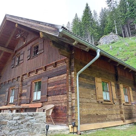 Siegel Almhuette Villa Zederhaus Exterior foto