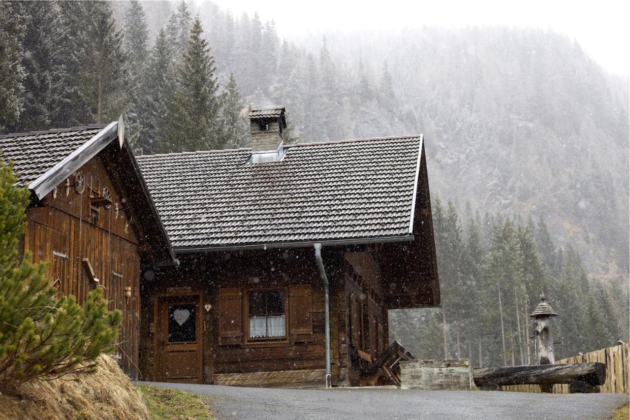 Siegel Almhuette Villa Zederhaus Exterior foto