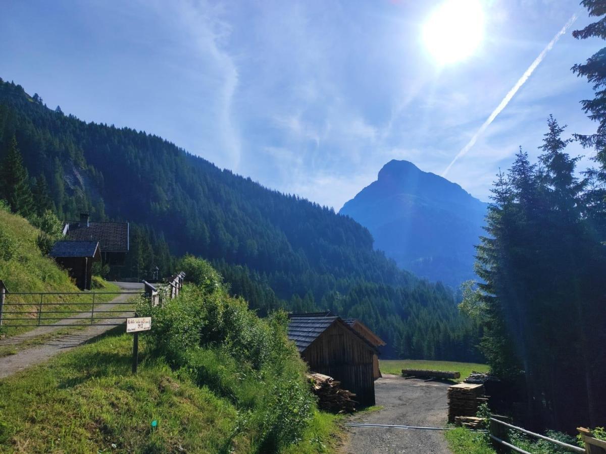 Siegel Almhuette Villa Zederhaus Exterior foto